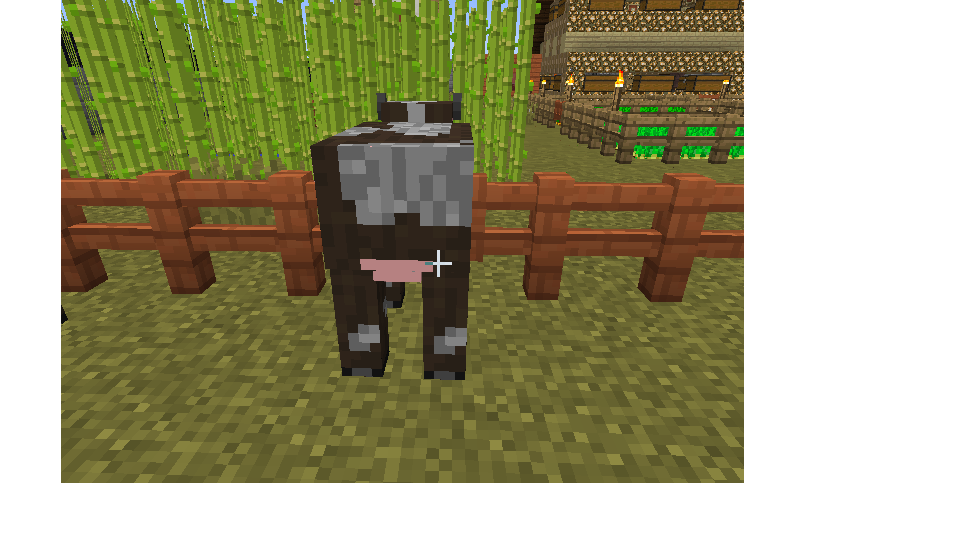 cow udder.png